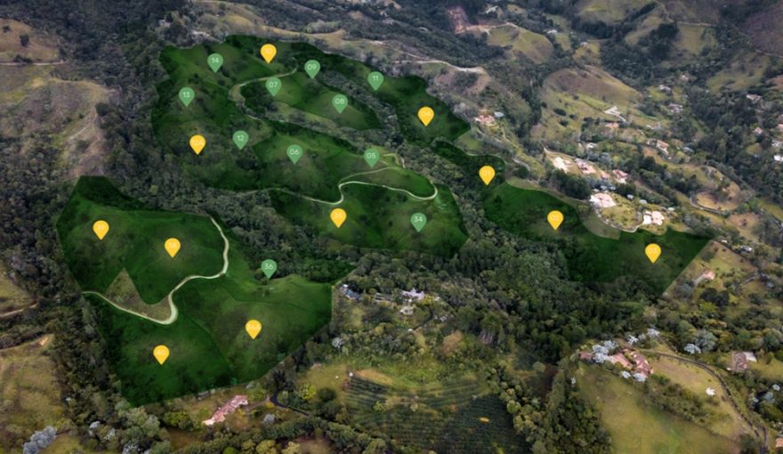 'Fizebad Reserva' Gated-Community Layout in El Retiro, Antioquia