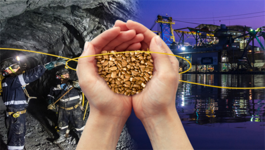 Mineros Gold Mining Profits Improve