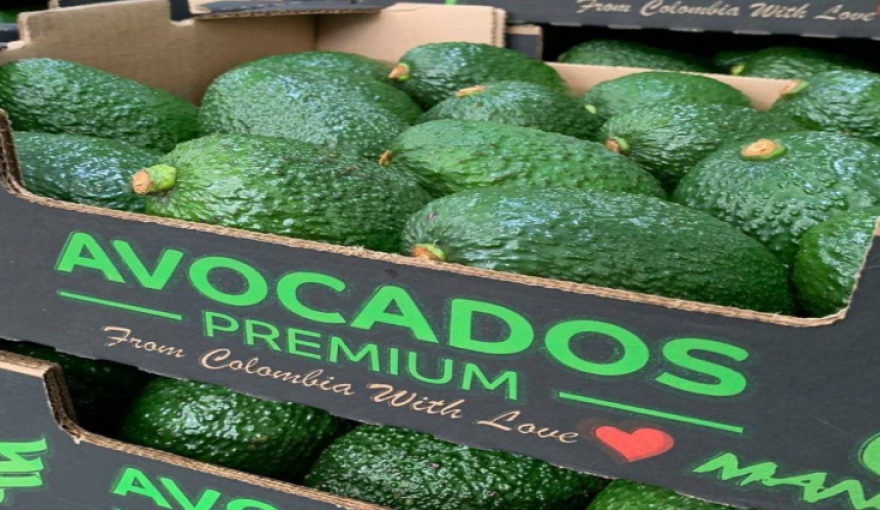 avocados