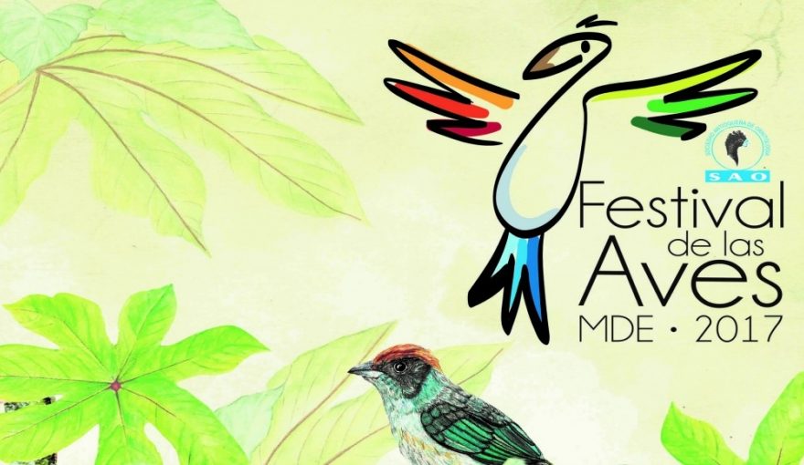 4th Annual Medellin Bird Festival: October 11-16, 2017