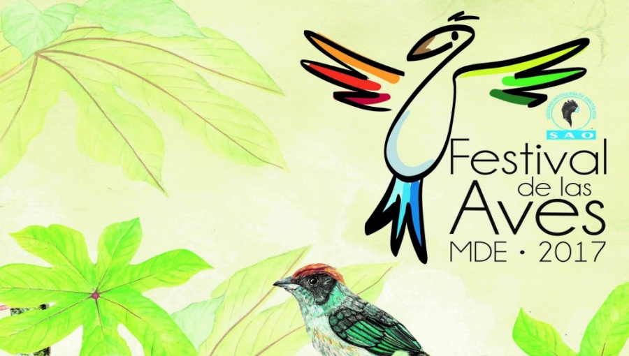 4th Annual Medellin Bird Festival: October 11-16, 2017