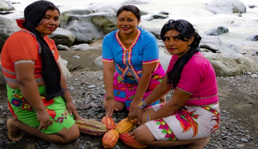 USAID, France Team-up With Antioquia’s Embera for Novel Gourmet-Cacao Exports