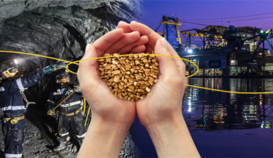 Mineros Full-Year 2022 Net Income Drops 88% Year-on-Year